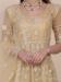 Picture of Admirable Net Tan Anarkali Salwar Kameez