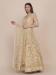 Picture of Admirable Net Tan Anarkali Salwar Kameez