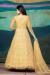 Picture of Wonderful Net Khaki Anarkali Salwar Kameez