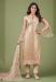 Picture of Exquisite Net Tan Straight Cut Salwar Kameez