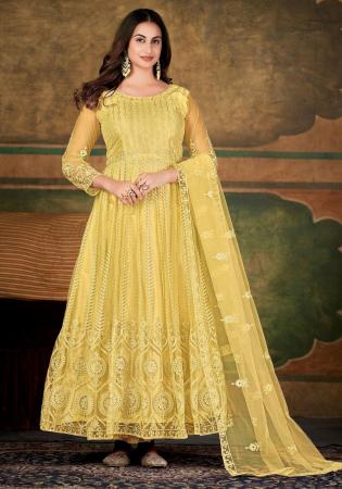 Picture of Elegant Net Khaki Anarkali Salwar Kameez