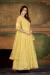 Picture of Elegant Net Khaki Anarkali Salwar Kameez