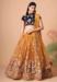 Picture of Pleasing Net Sandy Brown Lehenga Choli