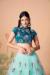 Picture of Gorgeous Net Powder Blue Lehenga Choli