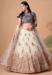 Picture of Well Formed Net Beige Lehenga Choli