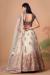 Picture of Well Formed Net Beige Lehenga Choli