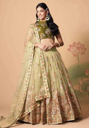 Picture of Superb Net Tan Lehenga Choli