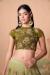 Picture of Superb Net Tan Lehenga Choli