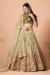 Picture of Superb Net Tan Lehenga Choli