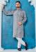 Picture of Delightful Silk Light Slate Grey Kurtas