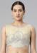 Picture of Comely Net Beige Designer Blouse