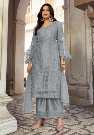 Picture of Net Light Slate Grey Straight Cut Salwar Kameez