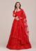 Picture of Resplendent Net Crimson Lehenga Choli