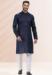 Picture of Statuesque Silk Navy Blue Kurtas