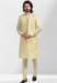 Picture of Shapely Silk Tan Kurtas