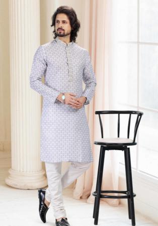 Picture of Graceful Light Slate Grey Kurtas