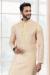 Picture of Good Looking Moccasin Kurtas