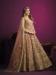 Picture of Statuesque Net Tan Anarkali Salwar Kameez