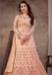 Picture of Enticing Net Thistle Anarkali Salwar Kameez