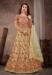 Picture of Pleasing Net Tan Anarkali Salwar Kameez