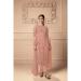 Picture of Pleasing Net Burly Wood Straight Cut Salwar Kameez