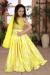 Picture of Marvelous Chiffon Wheat Kids Lehenga Choli