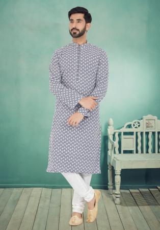 Picture of Beauteous Silk Light Slate Grey Kurtas