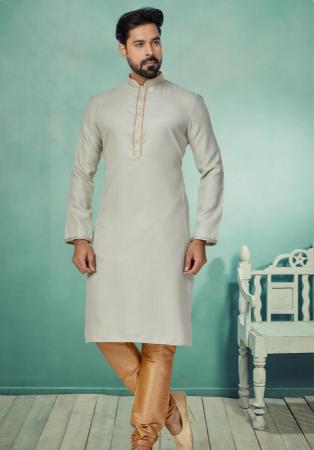 Picture of Enticing Silk Silver Kurtas