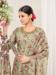 Picture of Enticing Net Tan Straight Cut Salwar Kameez