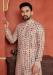 Picture of Delightful Cotton Tan Kurtas