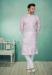 Picture of Magnificent Silk Thistle Kurtas