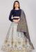 Picture of Enticing Silk Off White Lehenga Choli