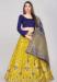 Picture of Amazing Silk Golden Rod Lehenga Choli