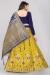 Picture of Amazing Silk Golden Rod Lehenga Choli