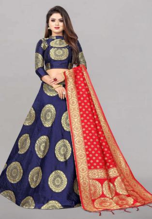 Picture of Beautiful Silk Navy Blue Lehenga Choli