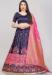 Picture of Sightly Silk Dark Slate Blue Lehenga Choli