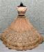 Picture of Enticing Net Burly Wood Lehenga Choli