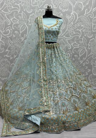 Picture of Fine Net Light Steel Blue Lehenga Choli