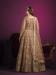 Picture of Statuesque Net Tan Anarkali Salwar Kameez