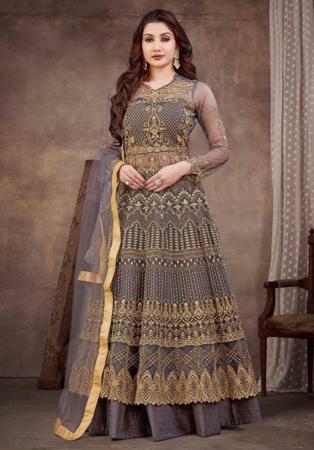 Picture of Beautiful Net Grey Anarkali Salwar Kameez