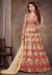 Picture of Admirable Net Burly Wood Anarkali Salwar Kameez