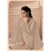 Picture of Fine Net Rosy Brown Straight Cut Salwar Kameez