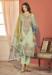 Picture of Georgette Dark Khaki Straight Cut Salwar Kameez