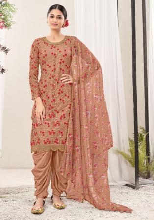 Picture of Enticing Net Burly Wood Straight Cut Salwar Kameez