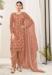 Picture of Enticing Net Burly Wood Straight Cut Salwar Kameez