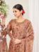 Picture of Enticing Net Burly Wood Straight Cut Salwar Kameez