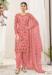 Picture of Superb Net Light Coral Straight Cut Salwar Kameez