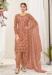 Picture of Admirable Net Tan Straight Cut Salwar Kameez