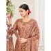 Picture of Admirable Net Tan Straight Cut Salwar Kameez