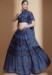 Picture of Taking Chiffon Dark Slate Blue Lehenga Choli